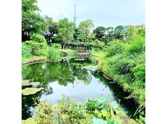 向島百花園