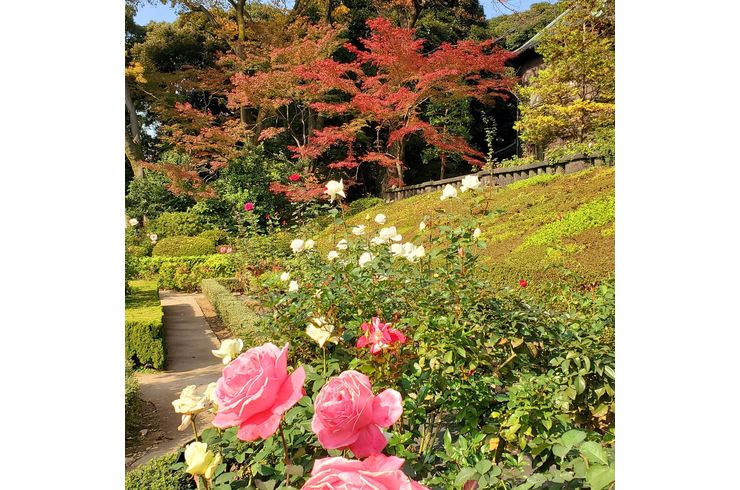 旧古川庭園